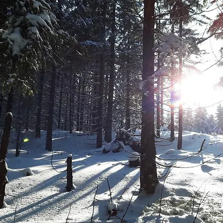 Ferienwohnung Wolf Gräfenroda Zewnętrze zdjęcie