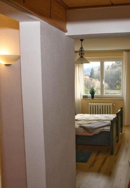 Wolf Apartment